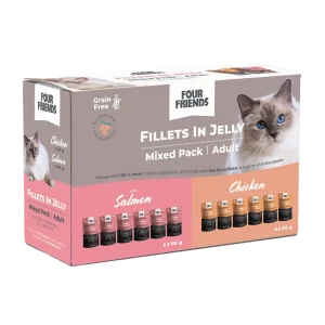 Cat Adult in Jelly Mix