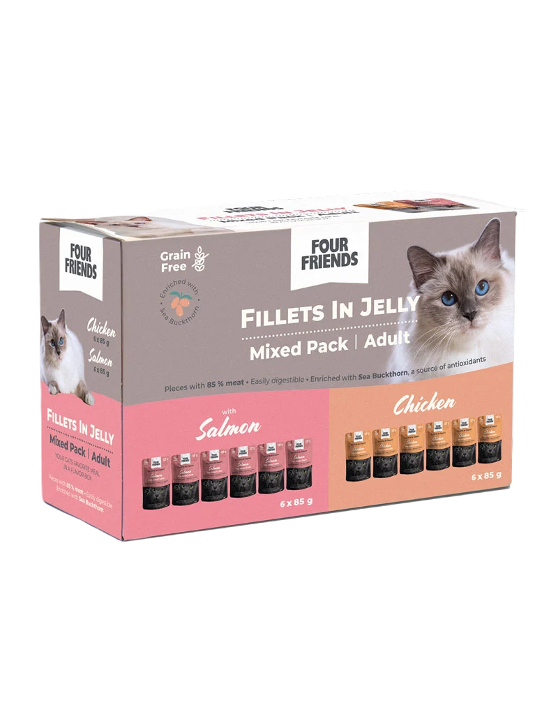 Cat Adult in Jelly Mix