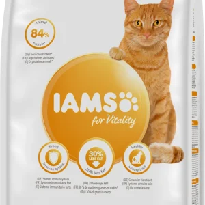 Cat Adult Sterilised