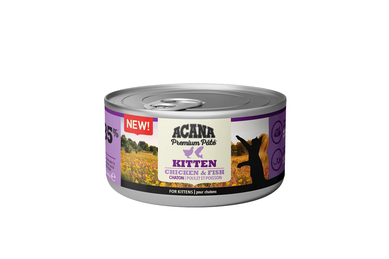 Cat Premium pat茅 Kitten Chicken/ Fish