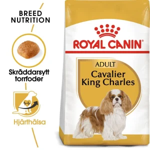 Cavalier King Charles Adult Torrfoder f枚r hund