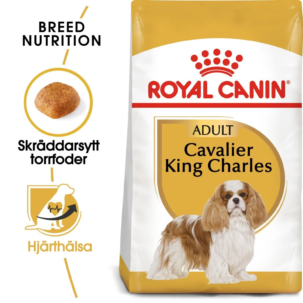 Cavalier King Charles Adult Torrfoder f枚r hund