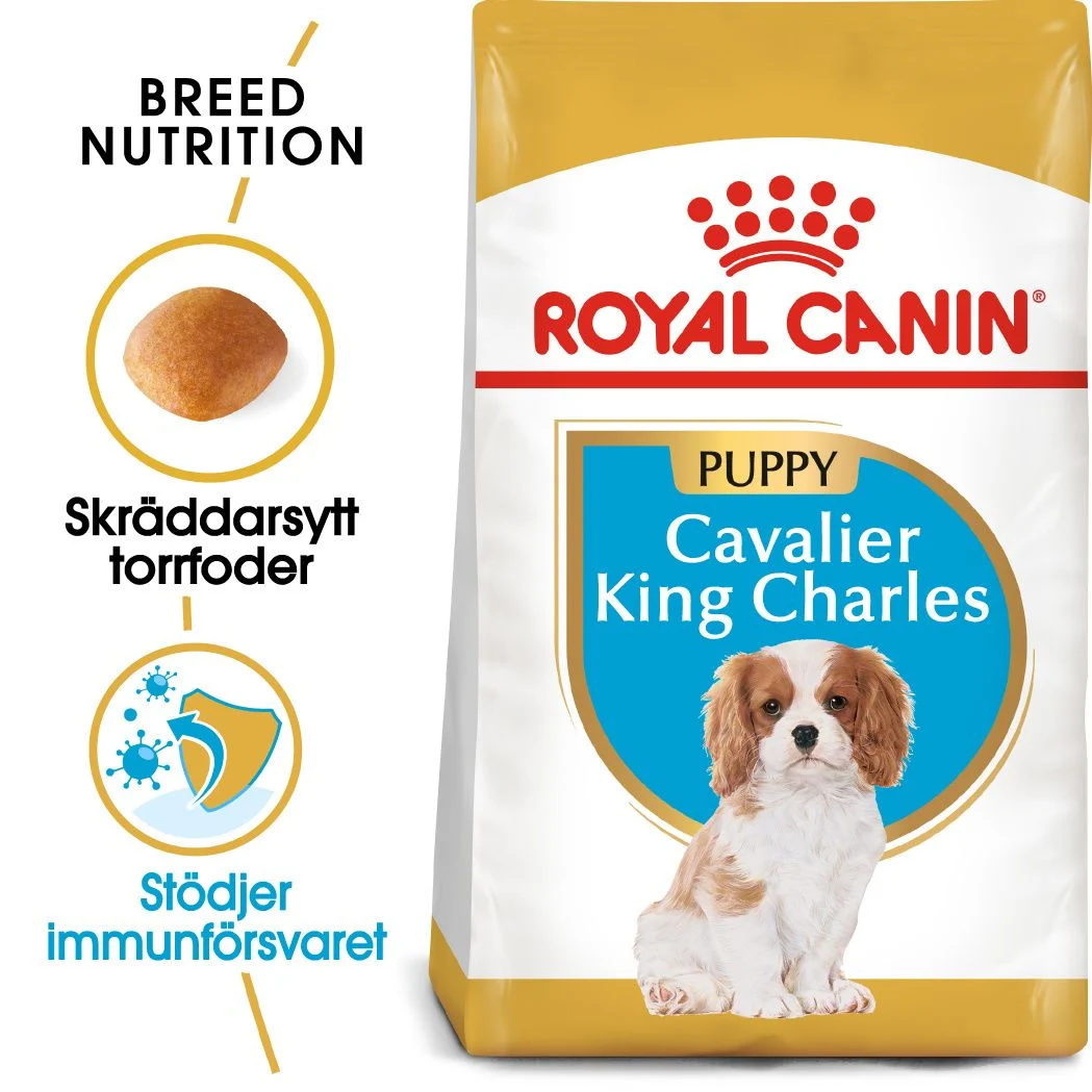 Cavalier King Charles Puppy Torrfoder f枚r hundvalp