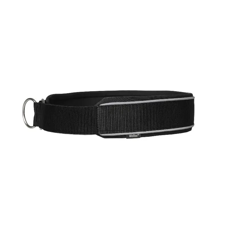 ”Charlie” Hundhalsband