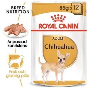 Chihuahua Adult V氓tfoder f枚r hund