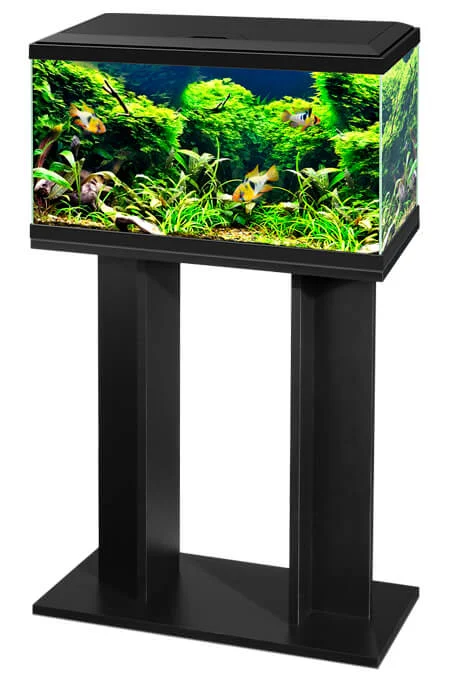 Ciano Akvariebord 60 Svart