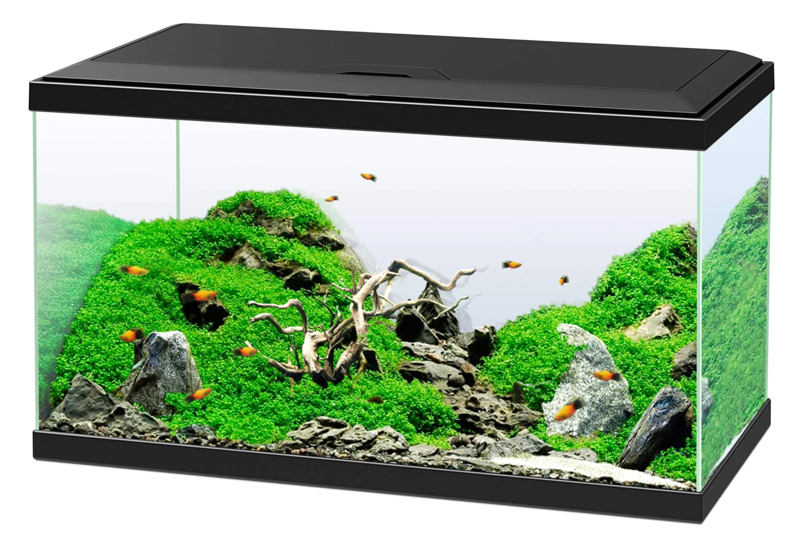 Ciano Akvarium 60 Svart