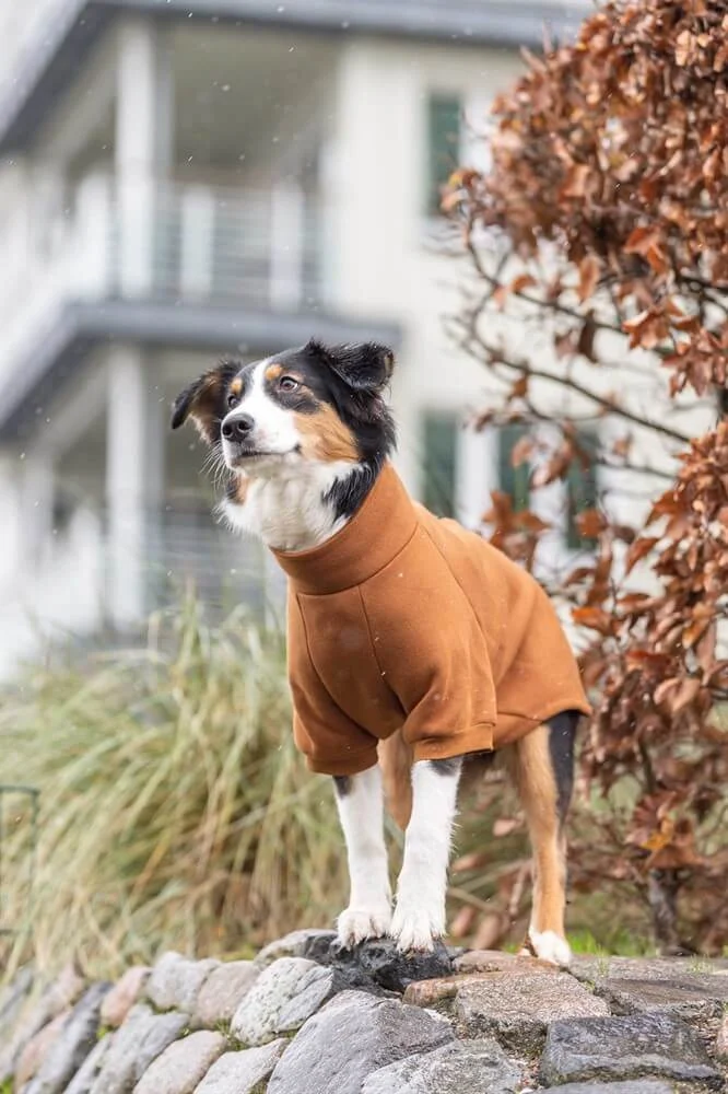 CityStyle Amsterdam Sweatshirt Grön S: 40cm - Image 2