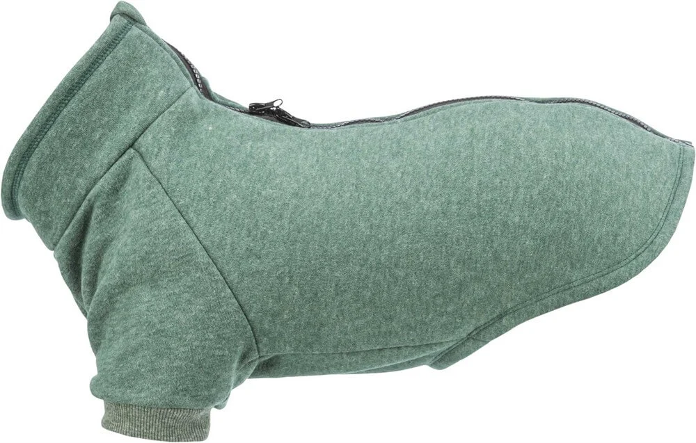 CityStyle Amsterdam Sweatshirt Grön S: 40cm