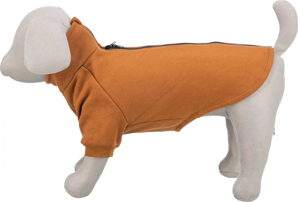 CityStyle Amsterdam Sweatshirt Rostbr XSS: 24cm - Image 2