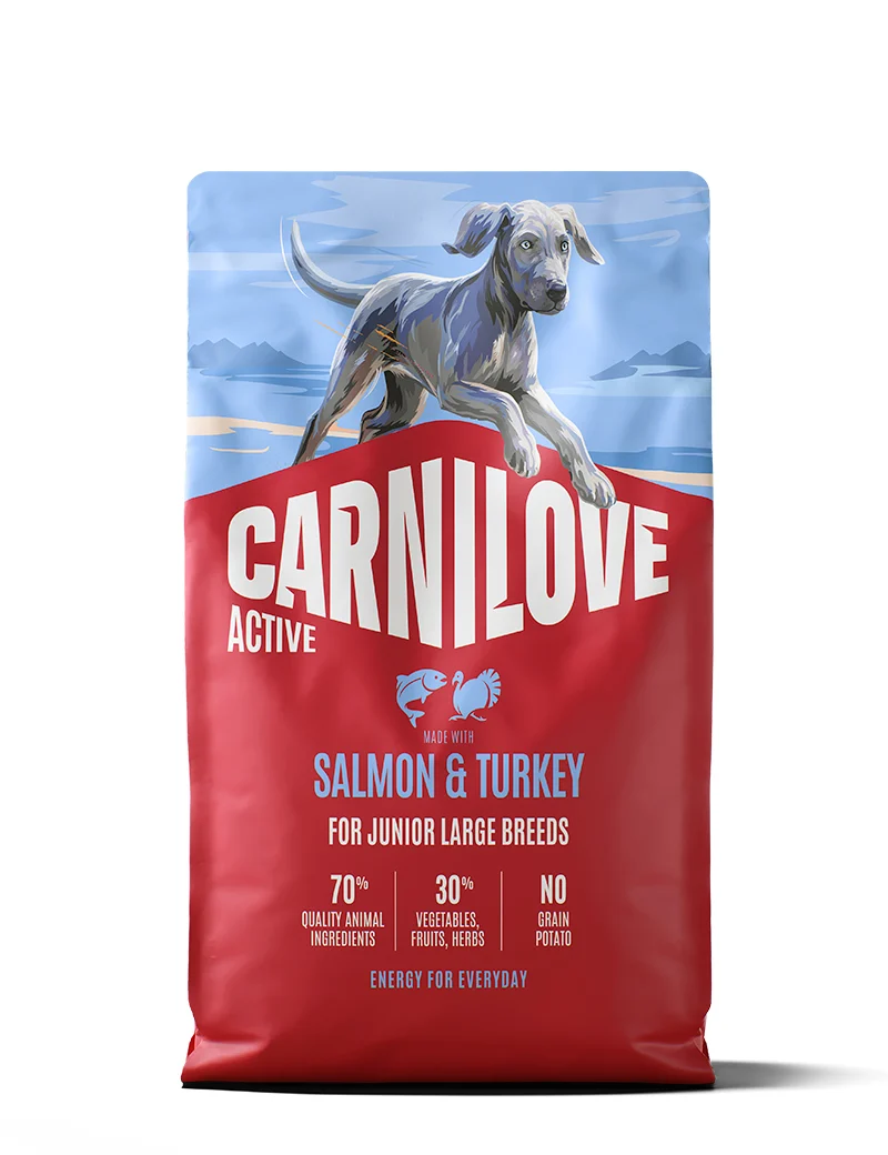 CL Active Salmon & Turkey Junior Large Breed 4kg