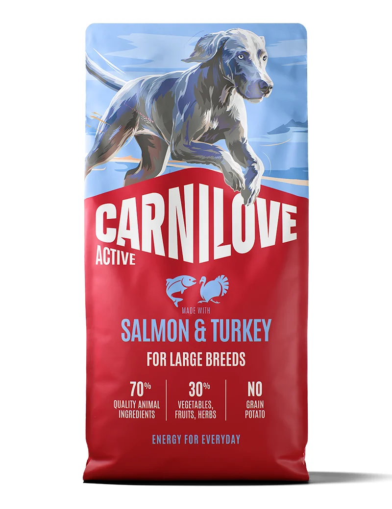 CL Active Salmon & Turkey Large Breed Adult 12kg