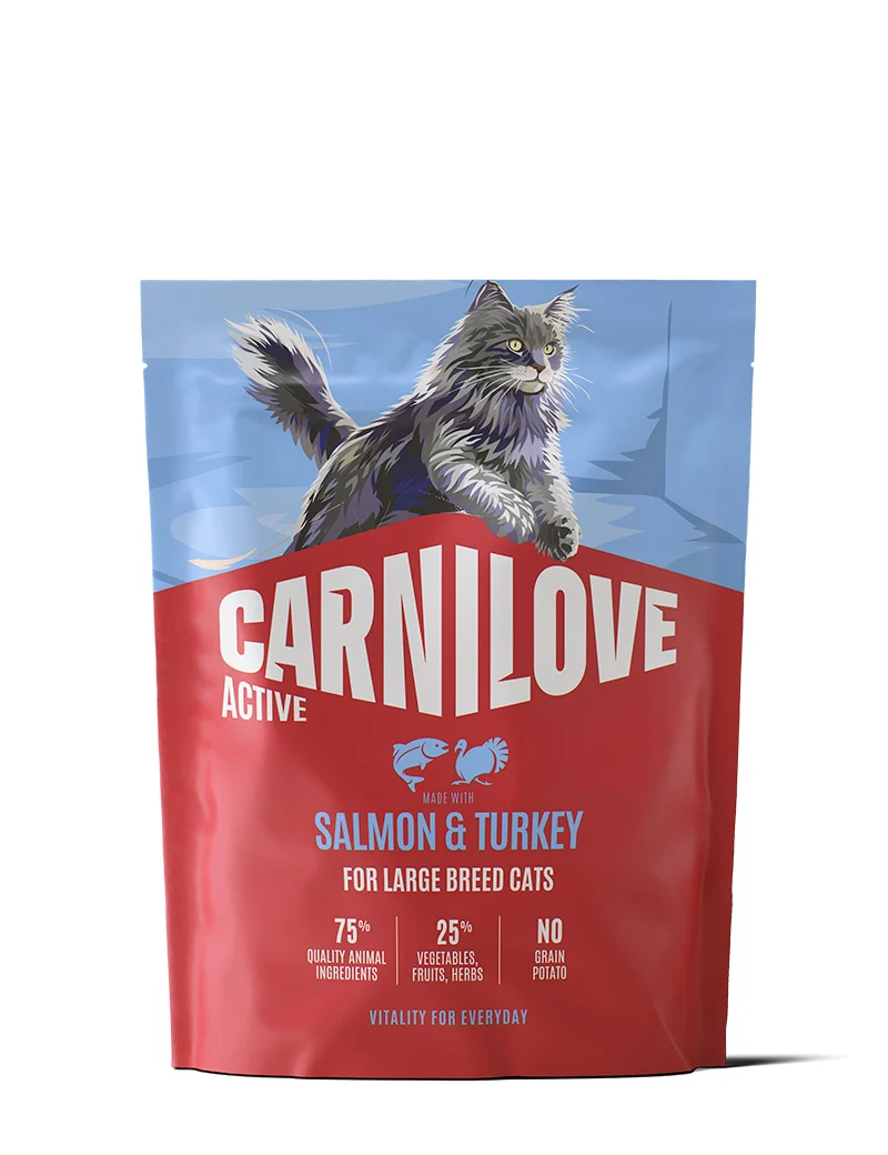 CL Active Salmon & Turkey Large Breed Adult 400g
