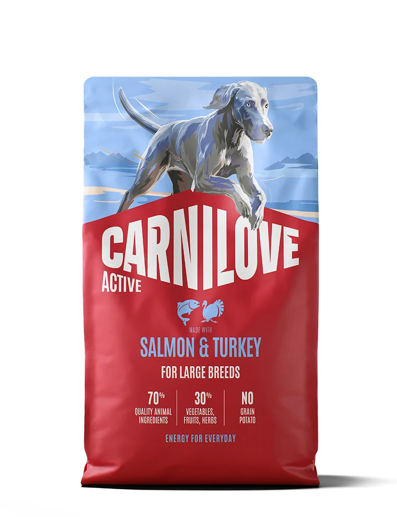 CL Active Salmon & Turkey Large Breed Adult 4kg