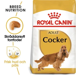 Cocker Spaniel Adult Torrfoder f枚r hund