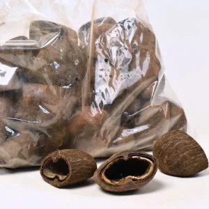 Cocos Pod 6–8 cm
