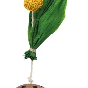 Cocosnöt på Sisalrep 35cm