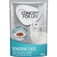 Concept for Life Sensitive Cats – Som komplettering 12 x 85 g Concept for Life Sensitive Cats in Sauce Beställ idag