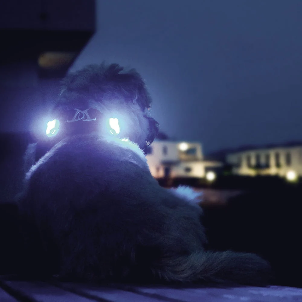 Curli ledlampa - Image 2