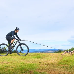 Cykelantenn Gr氓 One Size