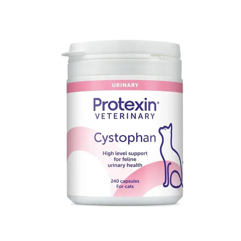 Cystophan Katt Handla nu