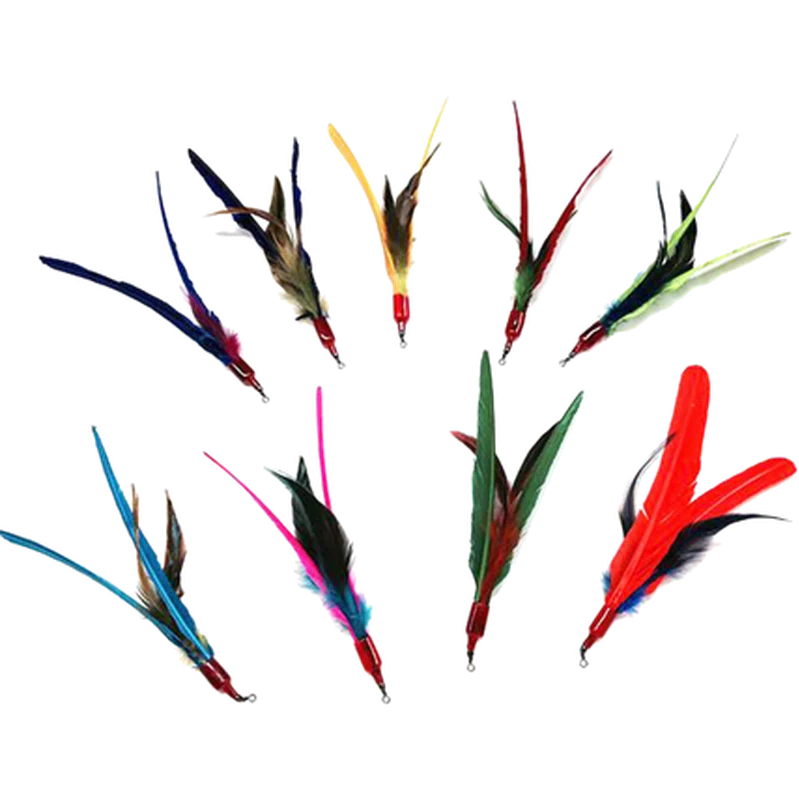Da Bird鈩?Refill Cat Toy