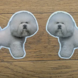 Dekal Bichon frise 2st spegelvända