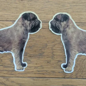 Dekal Border terrier 2st spegelvända