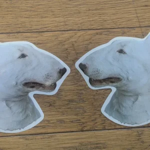 Dekal Bull terrier 2st spegelvända