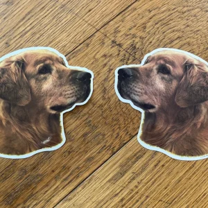 Dekal Golden Retriever M 2-pack