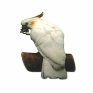 Dekal Kakadua mini
