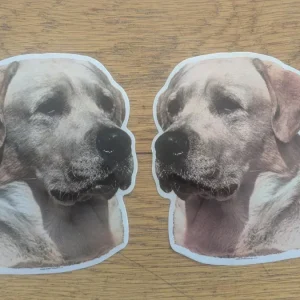 Dekal Labrador ljus 2-pack