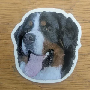 Dekal Liten Berner senner