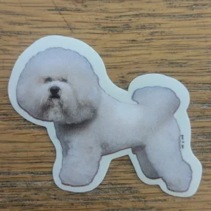 Dekal Liten bishon frise