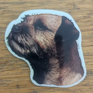 Dekal Liten border terrier