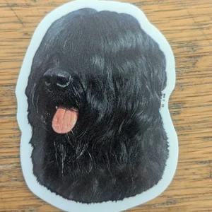 Dekal Liten briard