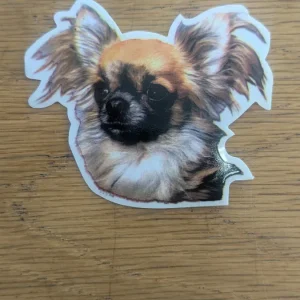 Dekal Liten chihuahua