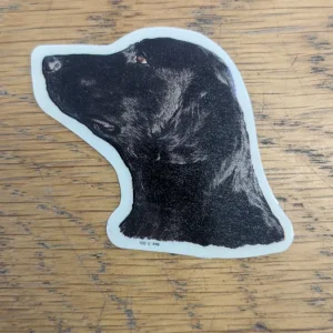 Dekal Liten Flat coated retriver