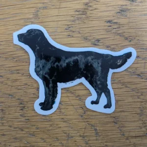 Dekal Liten Flat coated retriver