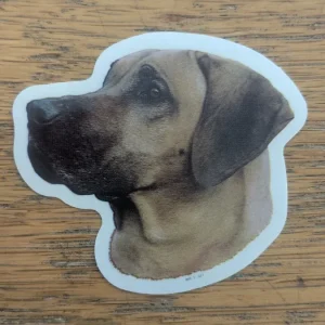 Dekal Liten Rhodesian Ridgeback