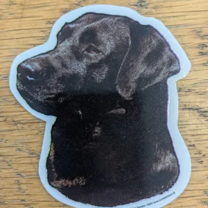 Dekal Liten Svart labrador