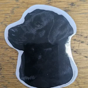 Dekal Liten Svart labrador