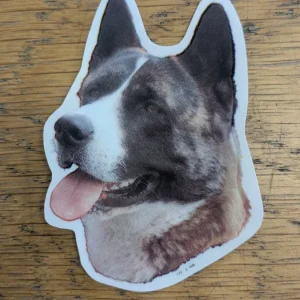 Dekal Liten Väst sibirisk laika