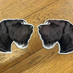 Dekal Riesenschnauzer, svart, 2-pack