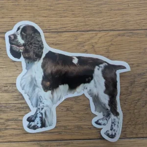Dekal springer spaniel