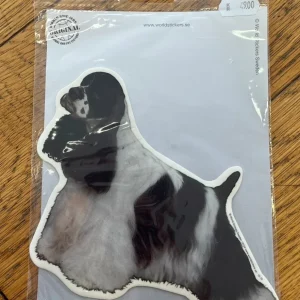 Dekaler Amerikansk cocker spaniel, helkropp 2-pack