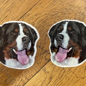 Dekaler Berner sennenhund 2-pack