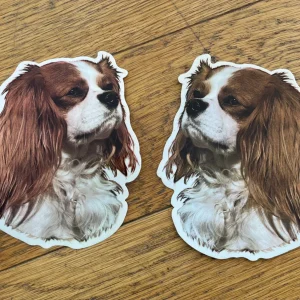 Dekaler Cavalier king charles spaniel 2-pack