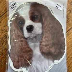 Dekaler Cavalier king charles spaniel, framifrån, 2-pack