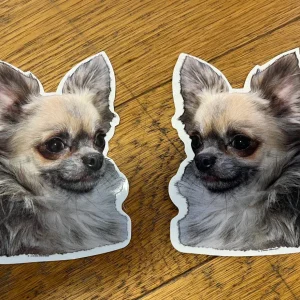 Dekaler Chihuahua 2-pack